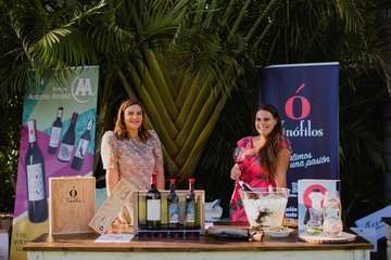 IV Cata Solidaria de Vinoteca San Juan (Foto TA)